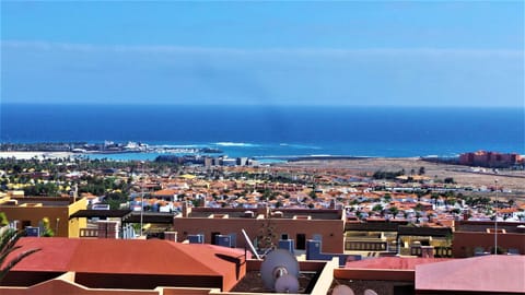 Bird's eye view, City view, Sea view