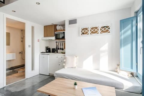 Euphoria Suites & Deluxe Studios Apartment in Thera