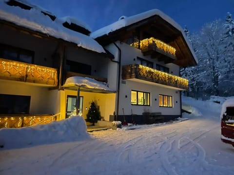 Property building, Night, Natural landscape, Winter