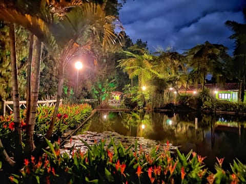 Natural landscape, Garden