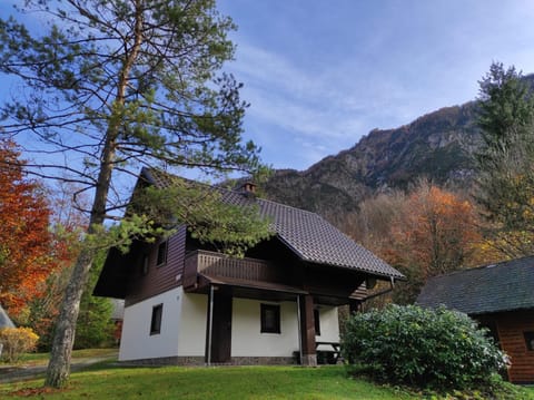 Property building, Autumn