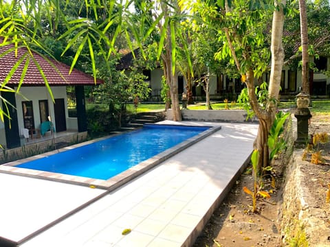 Bintang Hostel and Homestay Bed and Breakfast in Nusapenida