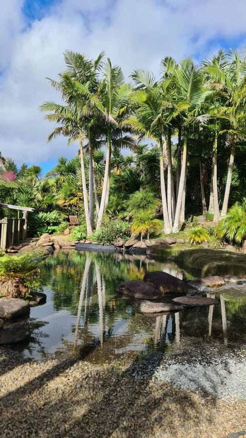 Day, Natural landscape, Garden, Garden view