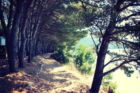 Victoria Mobilhome Camping Dole-Živogošče Campground/
RV Resort in Dubrovnik-Neretva County