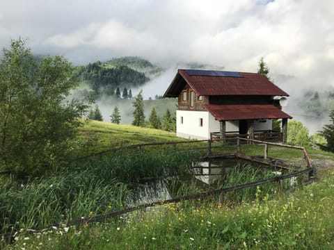 Property building, Natural landscape, Mountain view