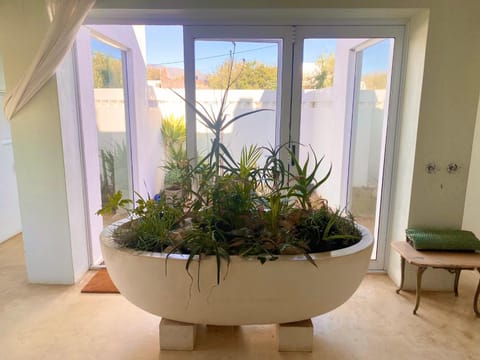 The Grand Marigold Bed and Breakfast in Western Cape