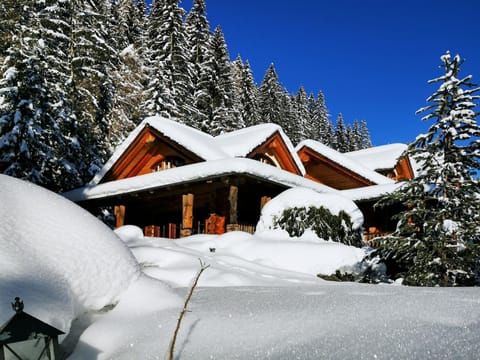 Chalet Caprea Chalet in Carinthia, Austria
