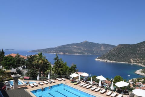 Day, Sea view, Swimming pool, sunbed