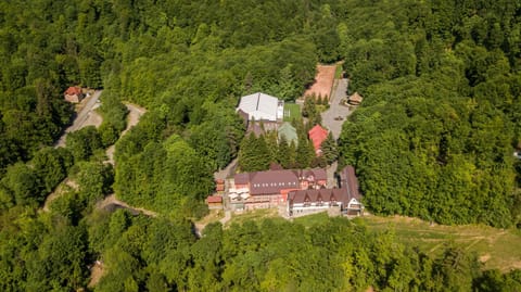 Bird's eye view, Summer, View (from property/room)