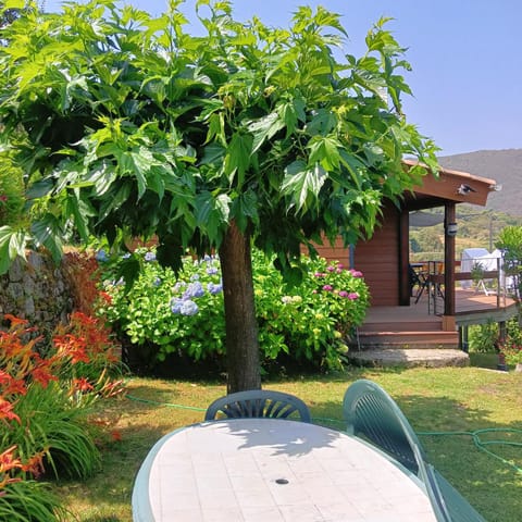 Spring, Natural landscape