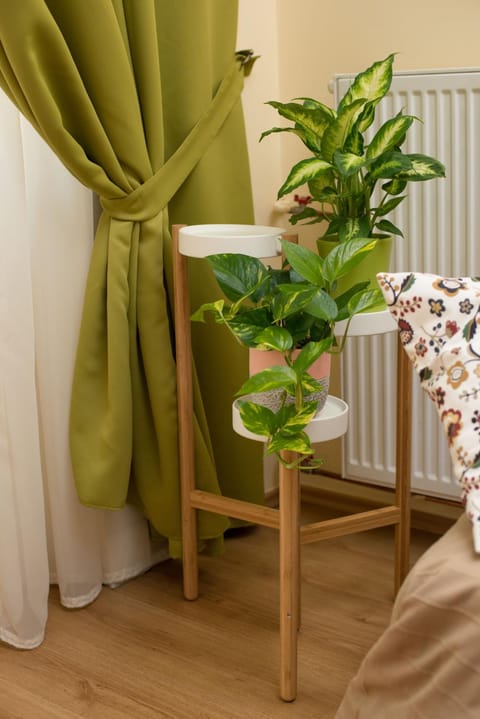 Rox Central Apartments 2 Apartment in Timisoara