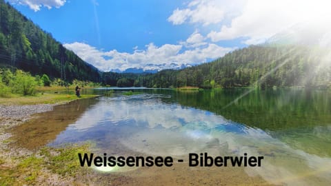 Haus Alpenruh Apartment in Tyrol