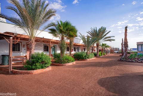 Property building, Garden, Garden view
