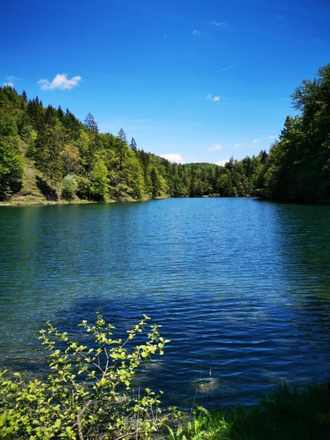 Natural landscape, Hiking, Lake view