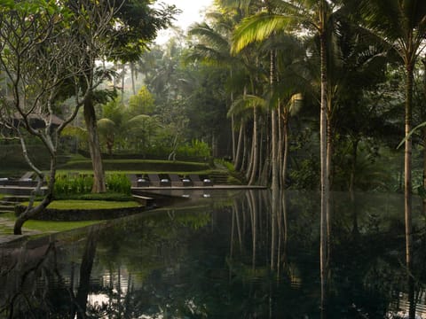 Natural landscape