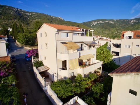 Bird's eye view, Street view