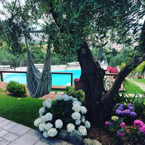 Villa l'Uliveta Apartment in Emilia-Romagna