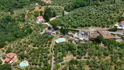 Villa l'Uliveta Apartment in Emilia-Romagna