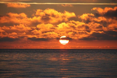 Beach, Sunrise