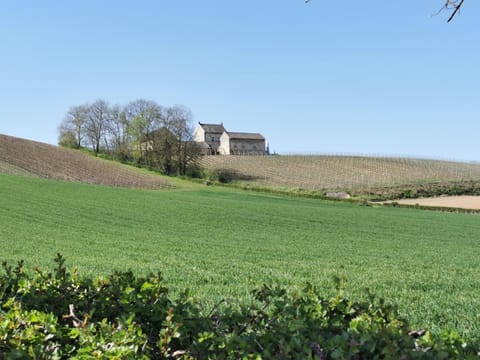 Bed en Breakfast Hof van Wolder Bed and Breakfast in Maastricht