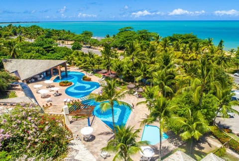 Bird's eye view, Swimming pool, Swimming pool