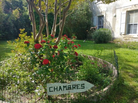 Garden, View (from property/room)