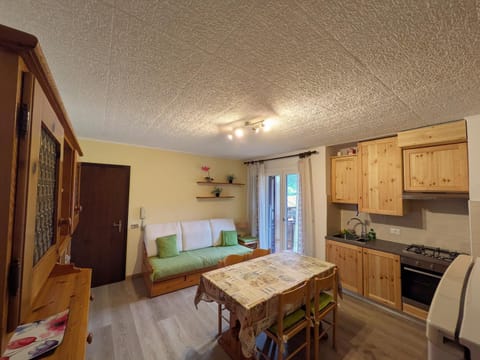Balcony/Terrace, Kitchen or kitchenette, Living room, Seating area, Dining area, dishwasher, pet friendly, stove