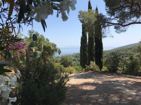 Villetta Straccoligno House in Capoliveri