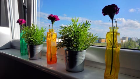 Decorative detail, City view