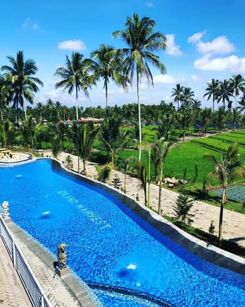 Natural landscape, Garden, Swimming pool