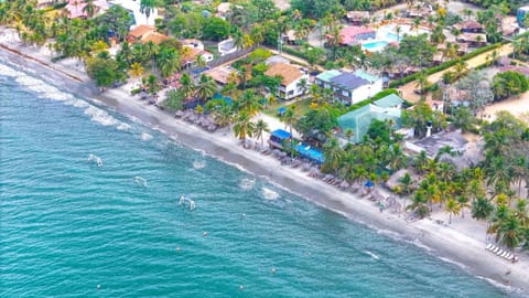 Natural landscape, Bird's eye view, Beach