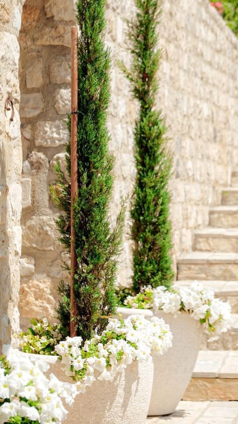 Kulla e Balshajve Hotel in Ulcinj