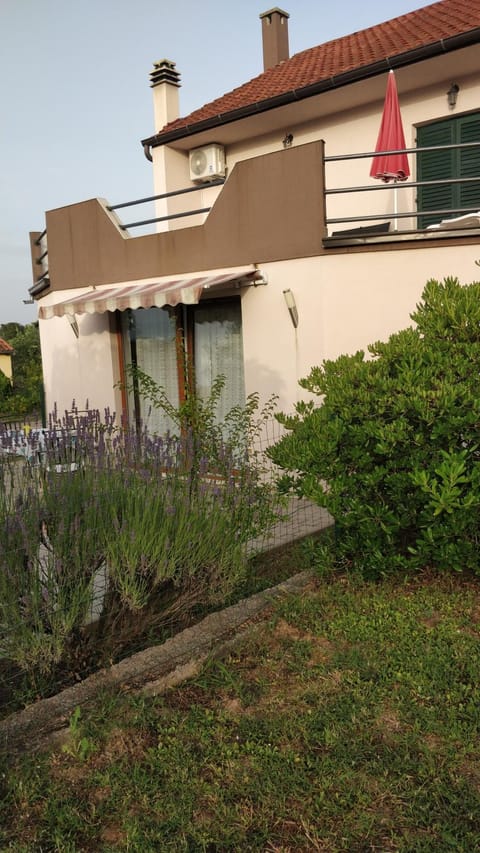 Property building, Garden view