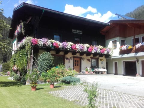 Property building, Day, Garden, Garden view