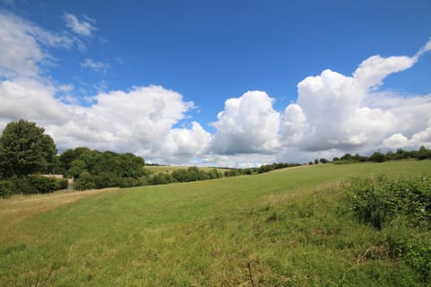 Natural landscape, Summer, Garden view