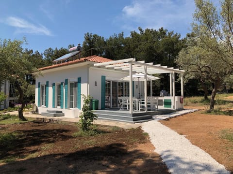 Property building, Facade/entrance, Garden