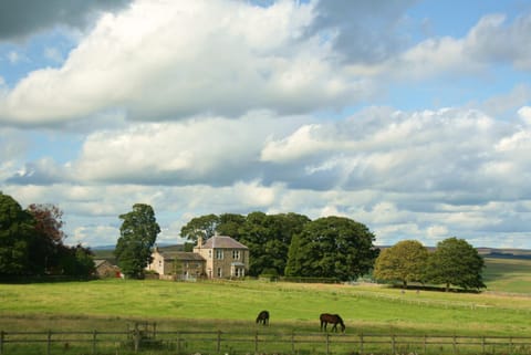 Property building, Natural landscape