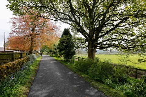 Facade/entrance, Garden
