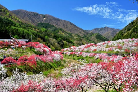 Spring