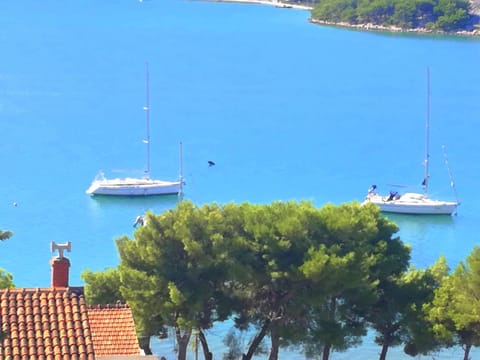 Apartman Tisno Apartment in Tisno