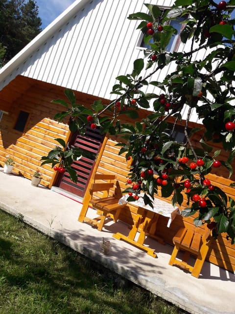 Holiday Home Ana House in Montenegro