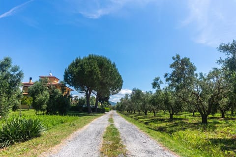 Agriturismo il Tripesce Farm Stay in Tuscany