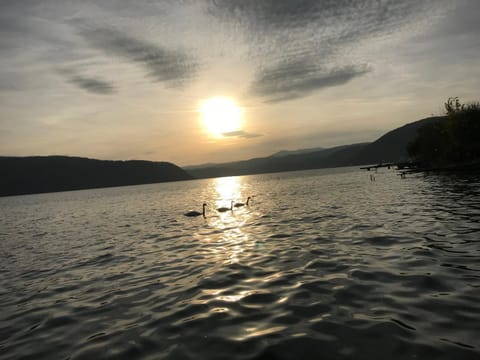 Casa Alle Bed and Breakfast in Serbia