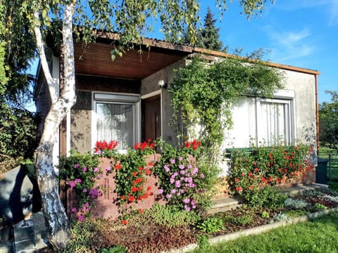 Property building, Facade/entrance, Garden
