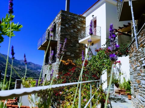 Property building, Facade/entrance, Garden