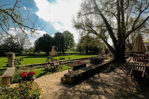 Garden, Balcony/Terrace