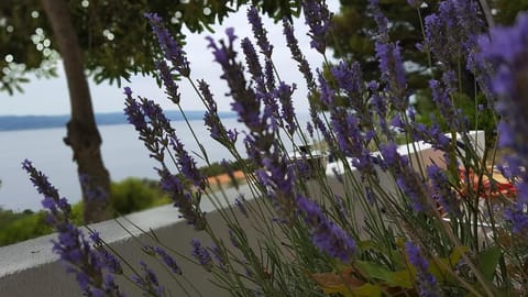 Duka Apartment in Brela