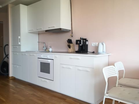 Kitchen or kitchenette, Photo of the whole room