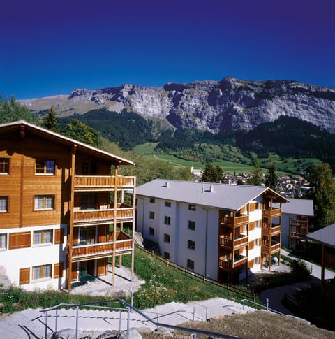 Property building, Summer