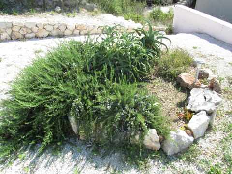 Sunny Apartman Pajdek Apartment in Šibenik-Knin County, Croatia